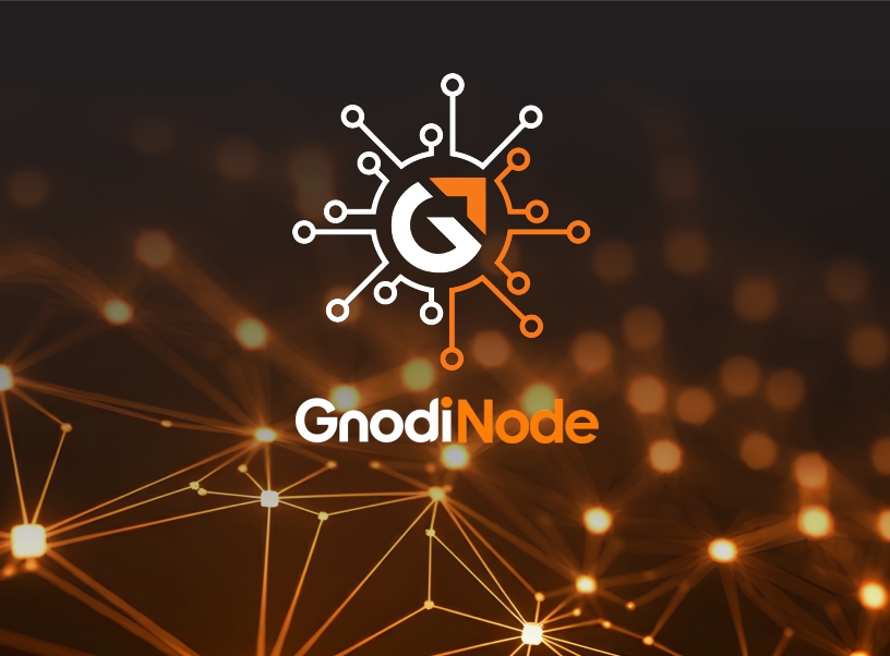 Unlock the Future of Blockchain with Gnodi Blockchain Nodes