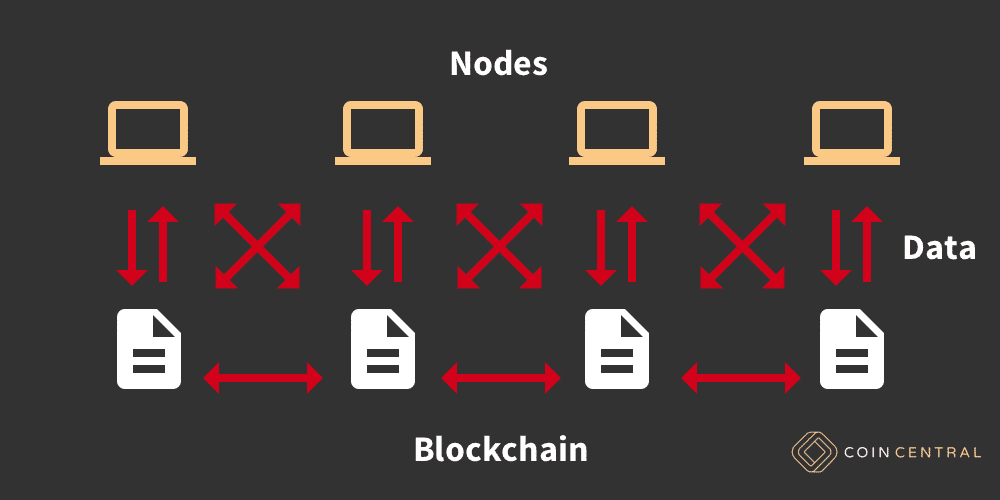 Blockchain Nodes